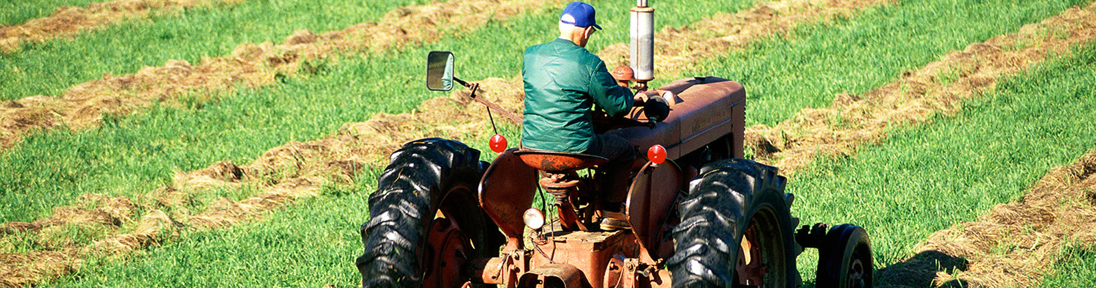 Man riding orange tractor